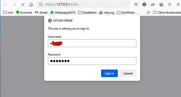 SyncThing Desktop_cannot auto login_