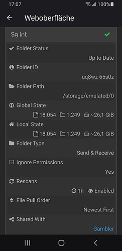 Screenshot_20250917-170718_Syncthing