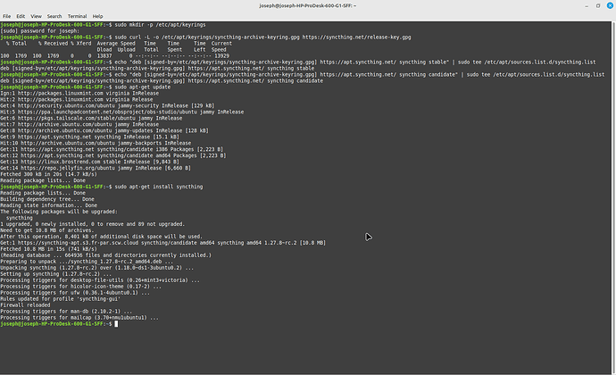 Screenshot at 2024-06-03 12-48-32
