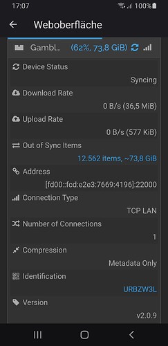 Screenshot_20250917-170749_Syncthing