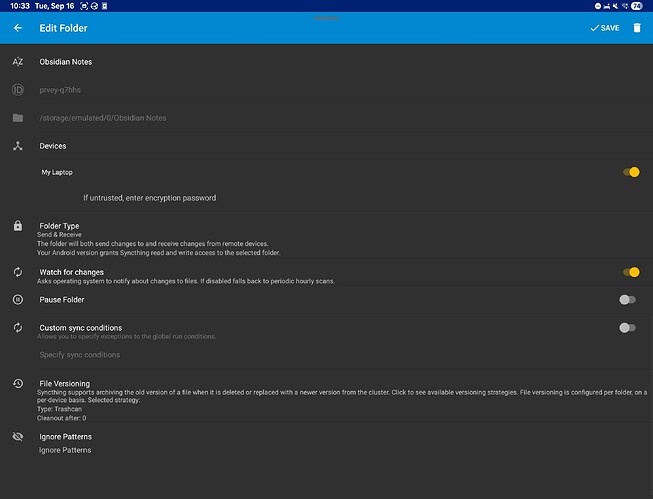Screenshot_20250916_223347_Syncthing-Fork